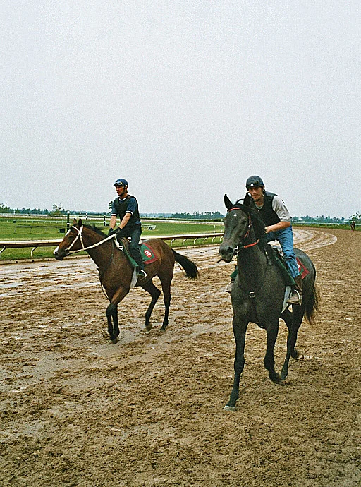Lexington Keeneland Race Track Jockeys auf Pferden