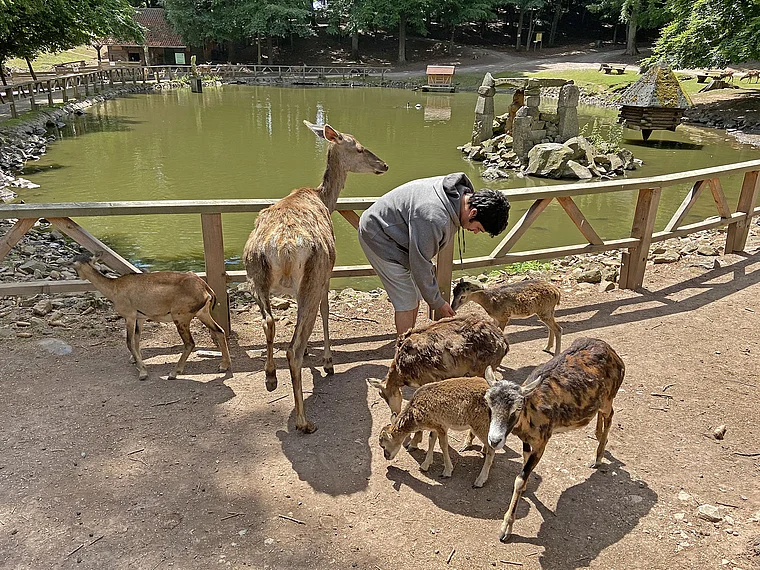 Meißner Germerode Bergwildpark