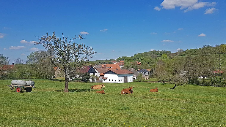 Mücke Höckersdorf Frühling