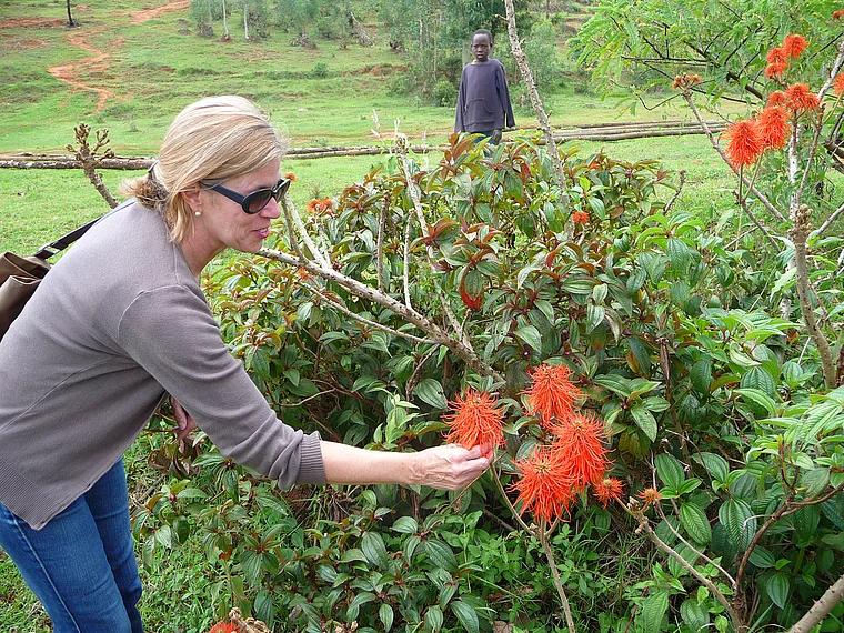 Ruanda Touristin bewundert rote Blüten