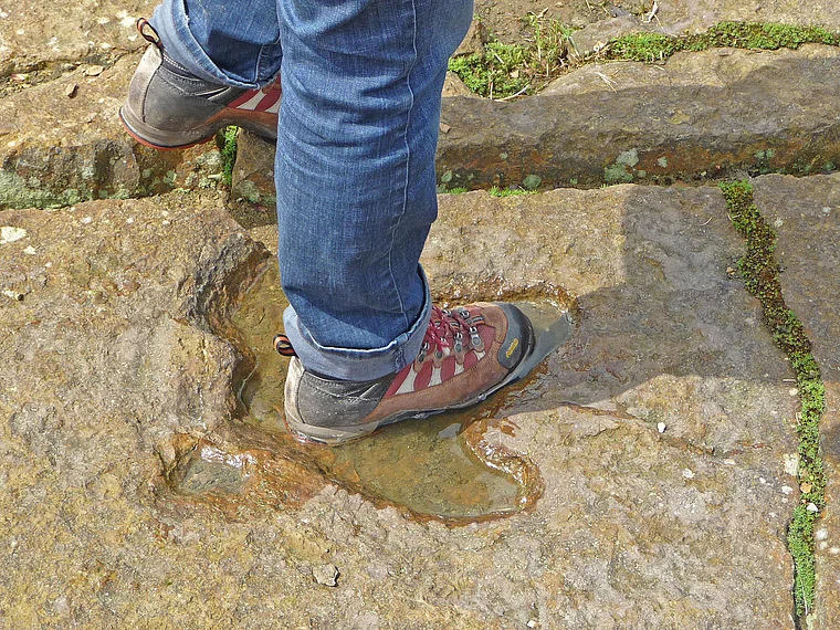 Bückeberg Dino Fußspur Größenvergleich
