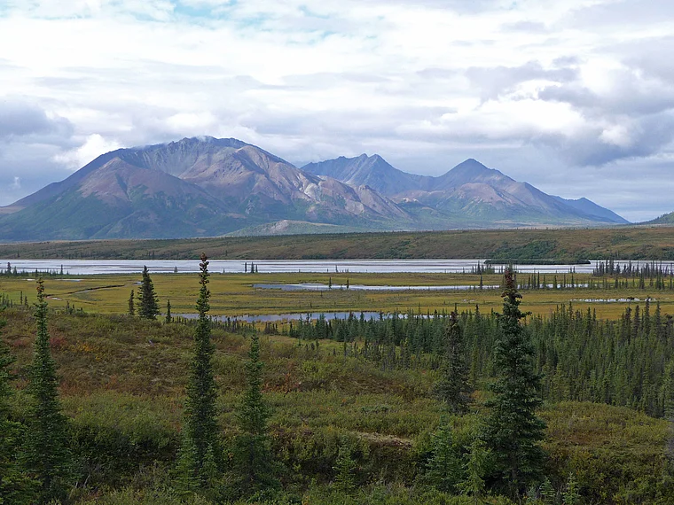 Alaska Landschaft am Denali Highway