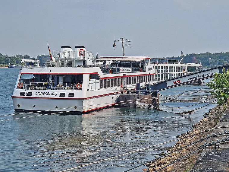 Mainz MS Godesburg