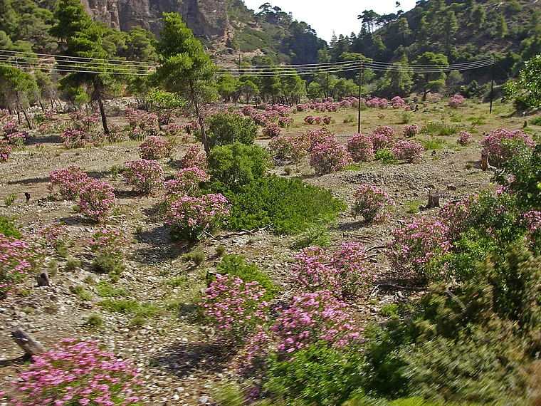 Peloponnes Zahnradbahn Aussicht