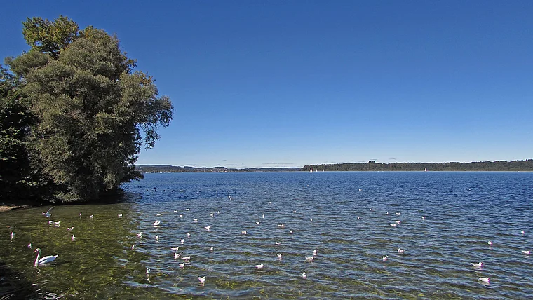 Chiemsee bei Bernau