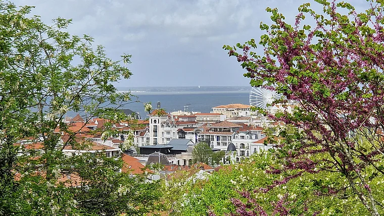 Arcachon Oberservatoire Cecile Ausblick