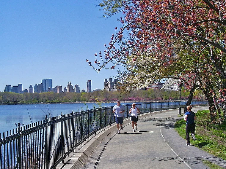 New York Central Park Jogger