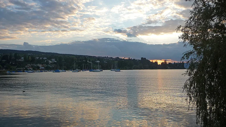Thurgau Ermatingen Rheinufer Abend