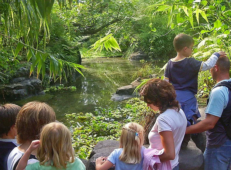 Zürich Zoo Tropenhaus innen