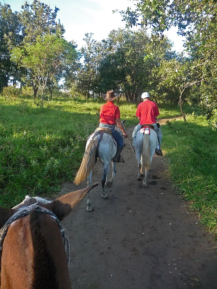Costa Rica Hazienda Guachipelin Ausreiten
