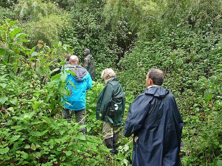 Ruanda Volcanoes National Park Gorilla Tour