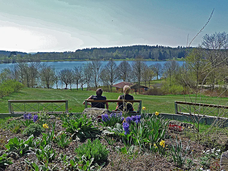 Saarland Blick auf Losheimer See mit Hyazinthen und Osterglocken