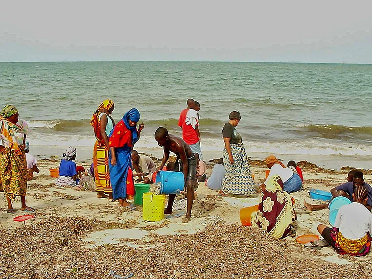Tansania Bagamoyo Strand Frauen sortieren Meeresfrüchte