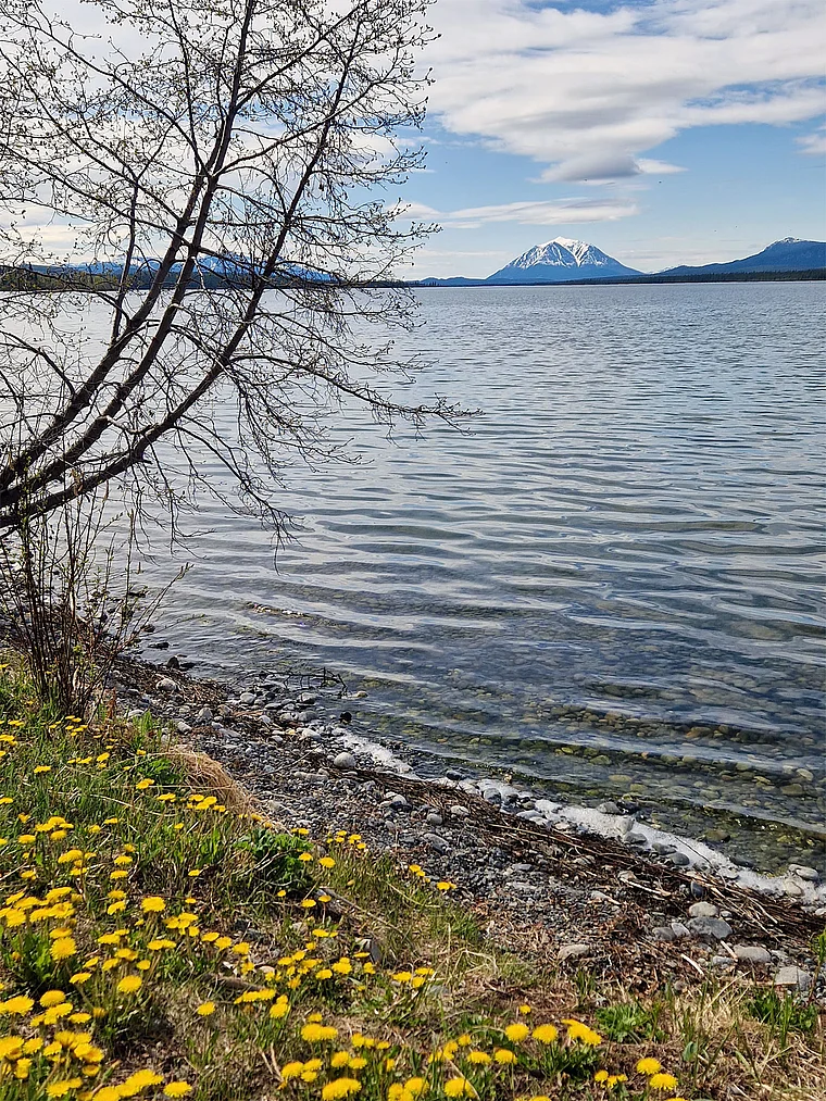 Kanada British Columbia Atlin Lake Nordende