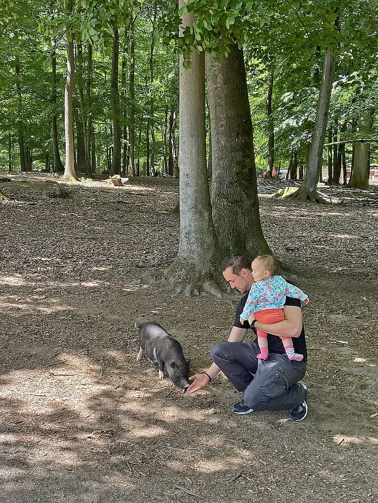 Meißner Germerode Widpark Hängebauchschwein