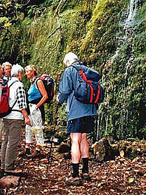 Madeira Wandern Christa Dornfeld