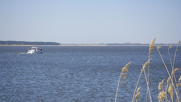 Usedom Achterwasser Motorboot