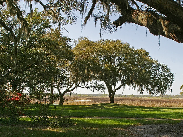 South Carolina Litchfield Plantation Außenanlage
