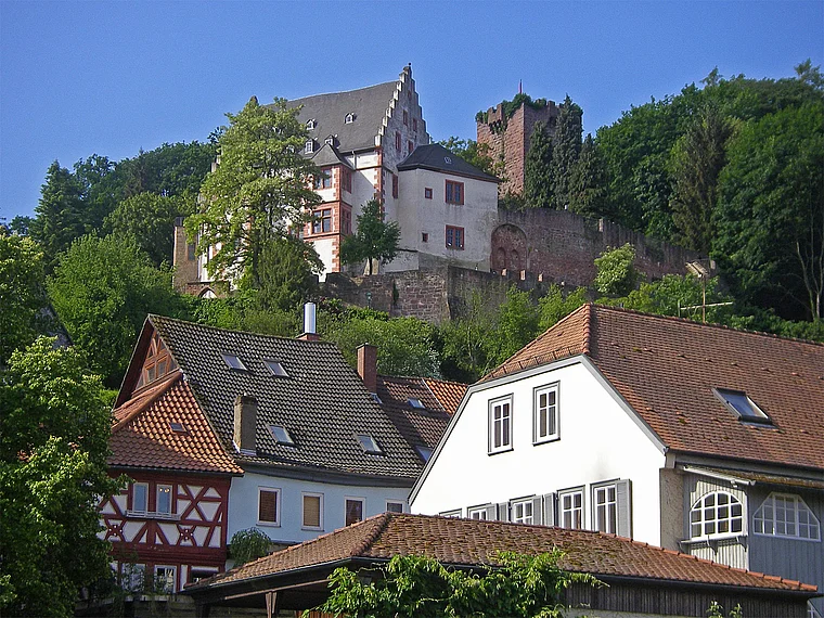 Miltenberg Burg von unten