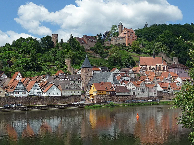 Hirschhorn (Neckar) total