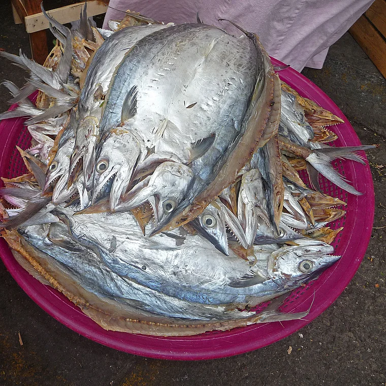 Mexiko Markt Fische