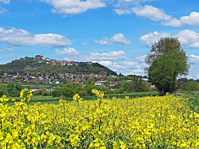 Amöneburg (Marburg) von fern mit Rapsfeld