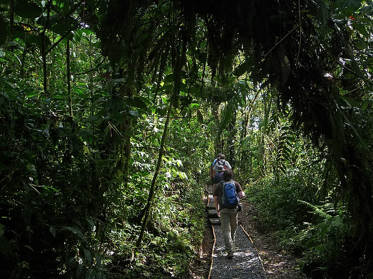 Costa Rica Monteverde Wanderer