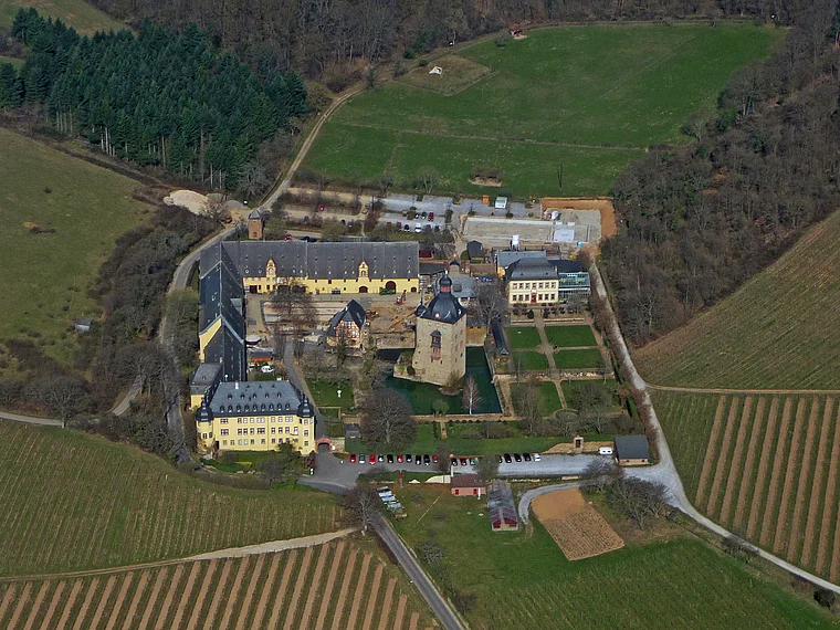 Oestrich-Winkel Schloss Vollrads Vogelperspektive