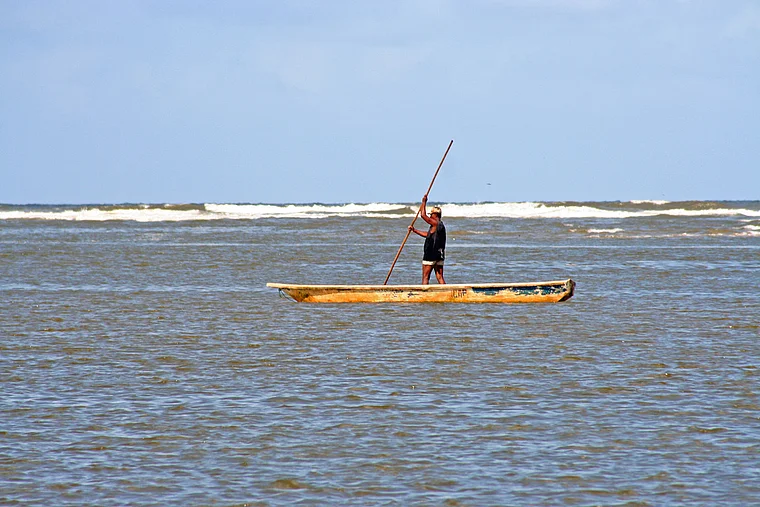 Venezuela Laguna de Tacarigua Fischer