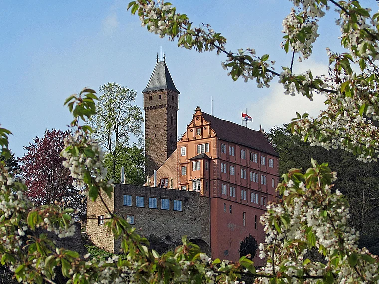 Hirschhorn (Neckar) Schloss