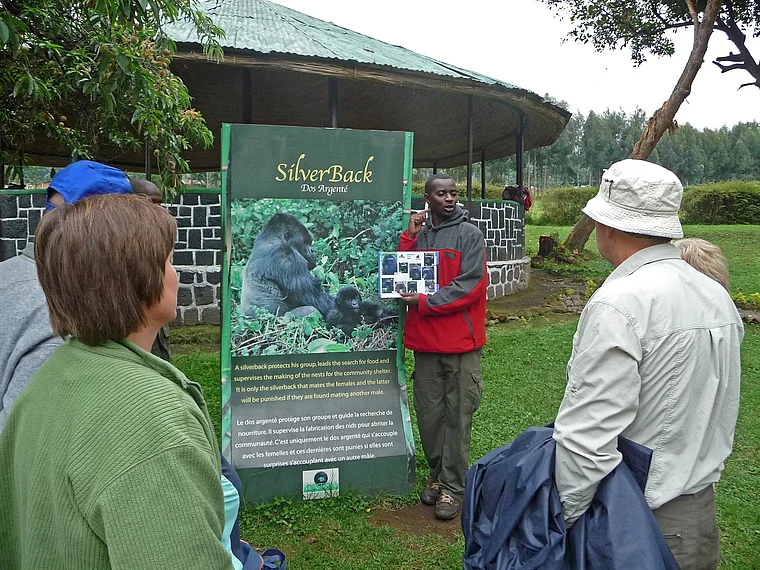 Ruanda Volcanoes National Park Gorilla Tour Einführung