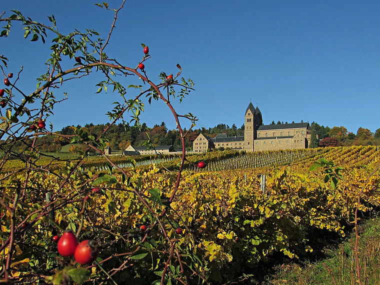 Rüdesheim Kloster und Weinberge Herbst