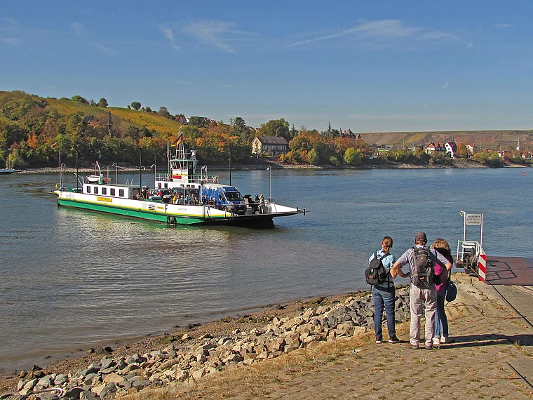 Trebur Rheinfähre