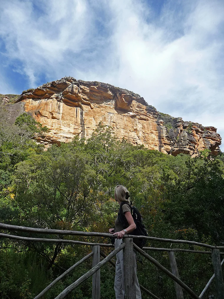 Südafrika Drakensberge Giant's Castle nah