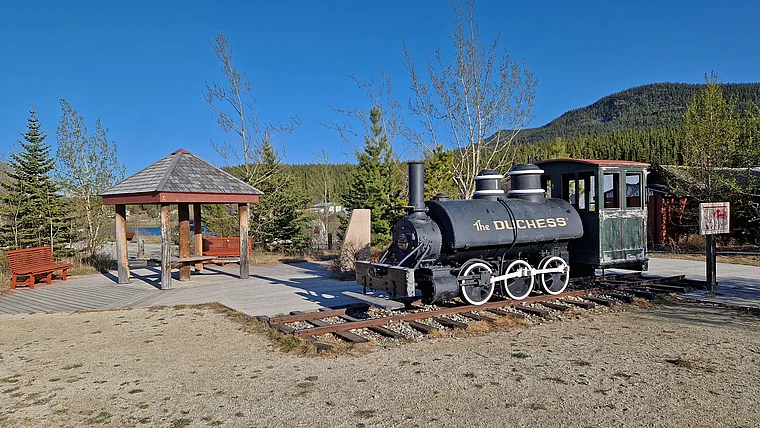 Yukon Carcross Duchess