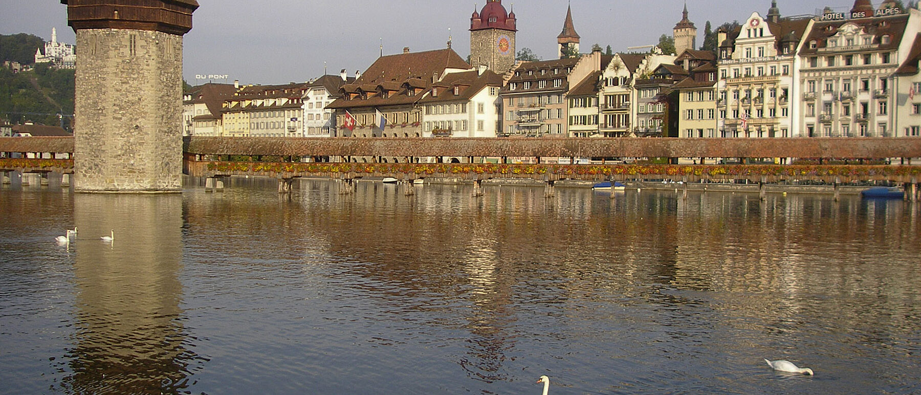 Luzern Reuß Kapellbrücke Schwäne