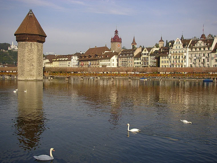 Luzern Reuß Kapellbrücke Schwäne