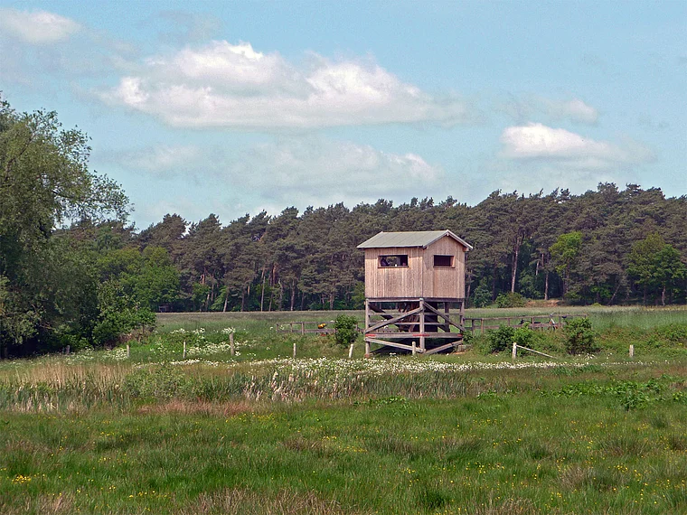 Steinhuder Meer Vogelbeobachtungsstation