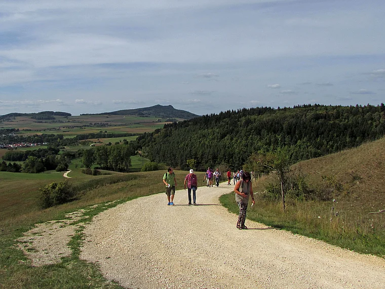 Wanderweg Hohentwieler