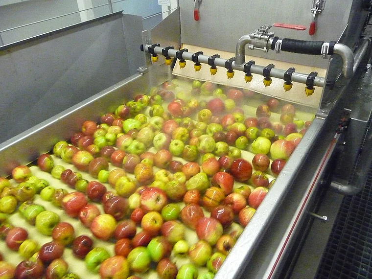 Thurgau Arbon Apfelkelterei Möhl Apfelwaschanlage