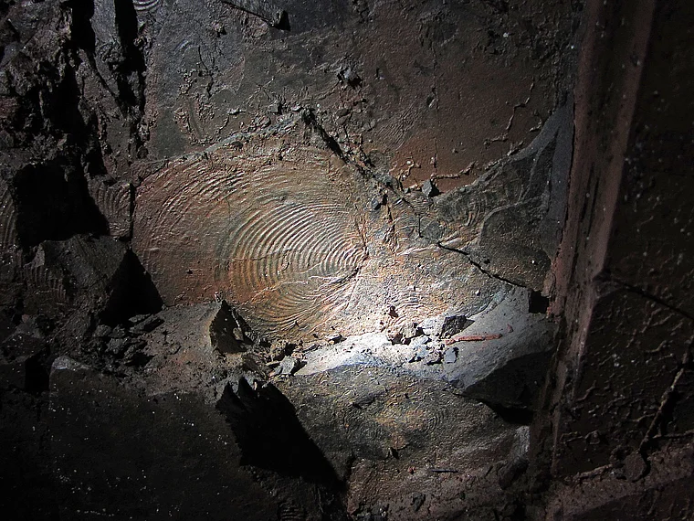 Korbach Besucherbergwerk Muschel