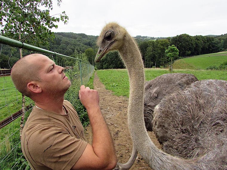 Emminghausen Straußenfarm Tierpfleger