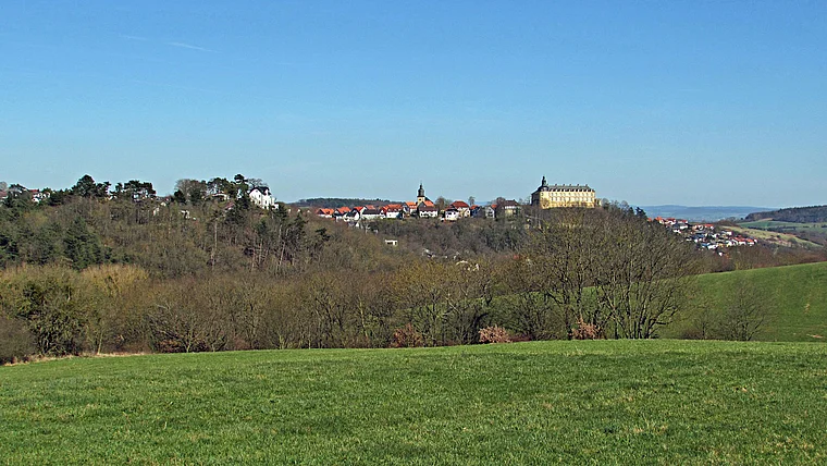 Bad Wildungen Totale von fern