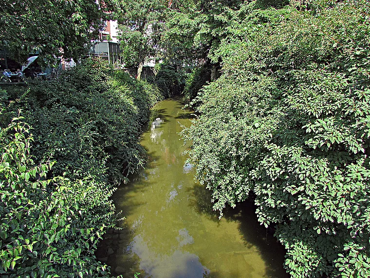 Münster Fluss Aa