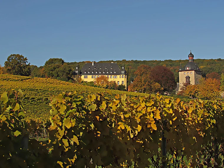 Oestrich-Winkel Schloss Vollrads und Weinberge