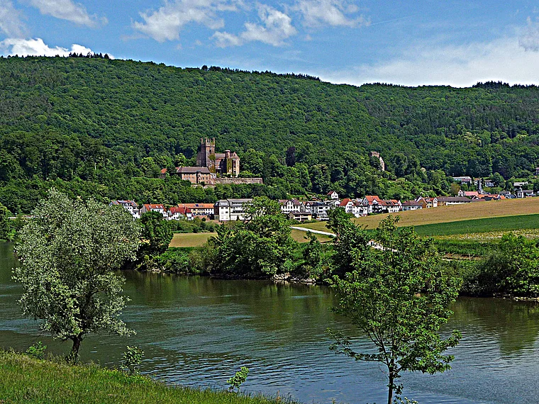 Neckarsteinach von fern