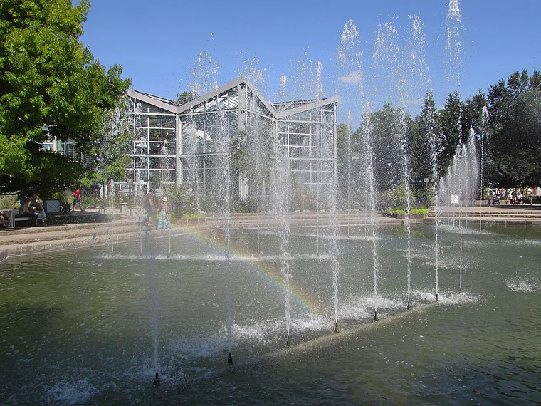 Frankfurt Palmengarten Wasserspiele