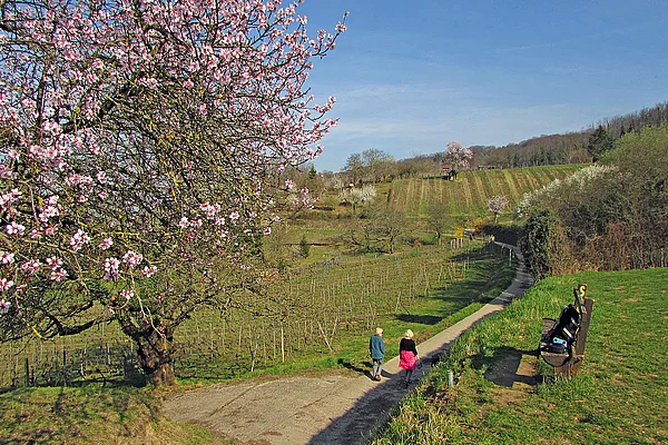 Bensheim Blütenweg