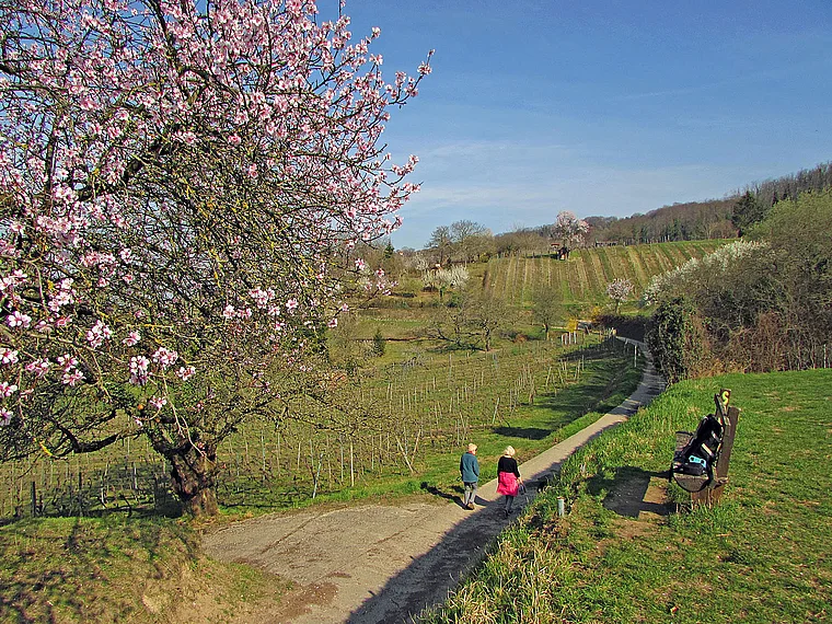 Bensheim Blütenweg