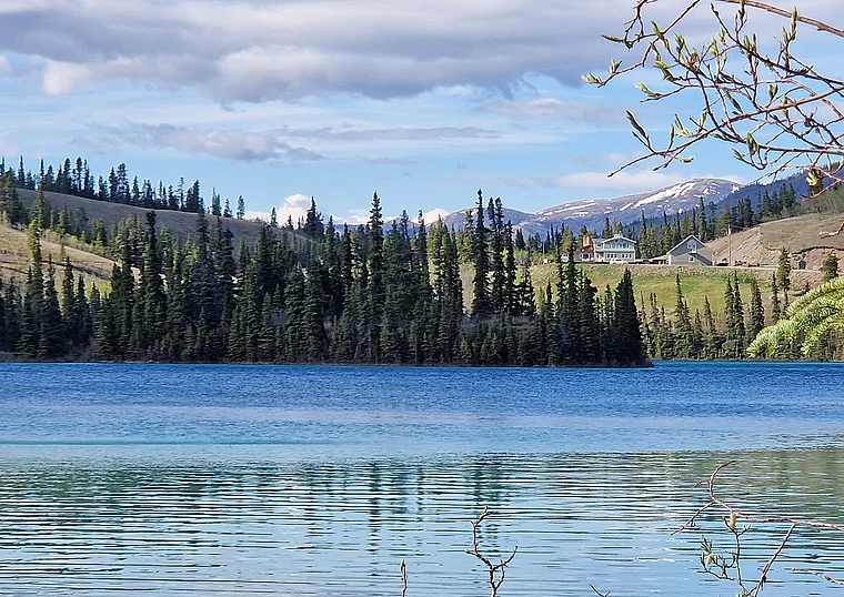 Yukon Carcross Emerald Lake Ufer